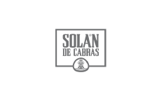 SDC